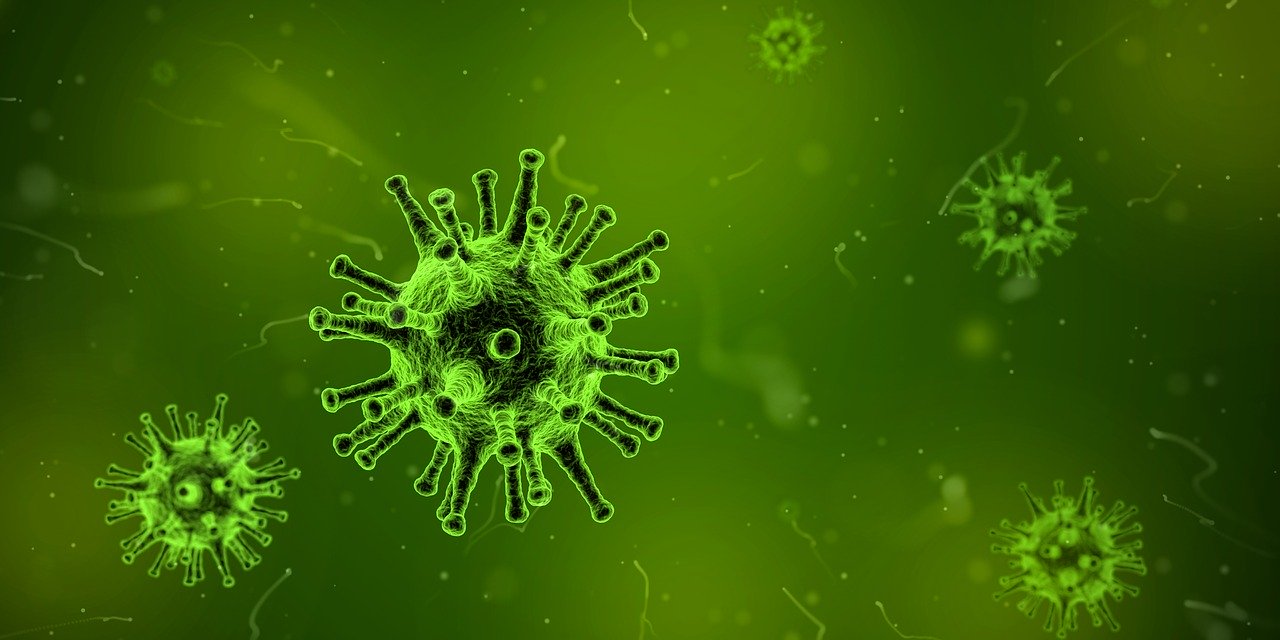 新型コロナウイルスの特徴と思うこと。対策や予防とかも